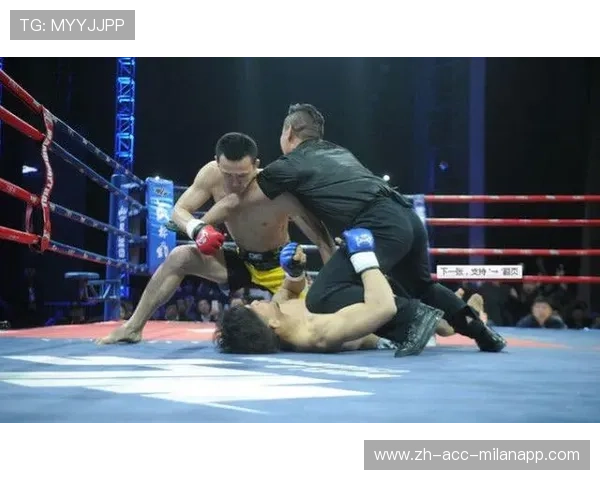 MMA最后一秒逆转锁喉，KO级表现